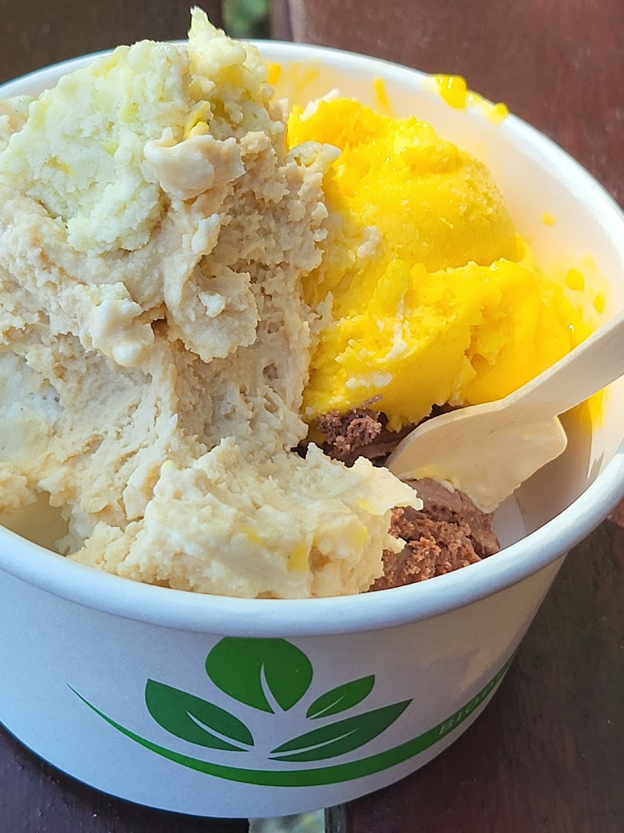 Eis Manufaktur Hiddensee-5