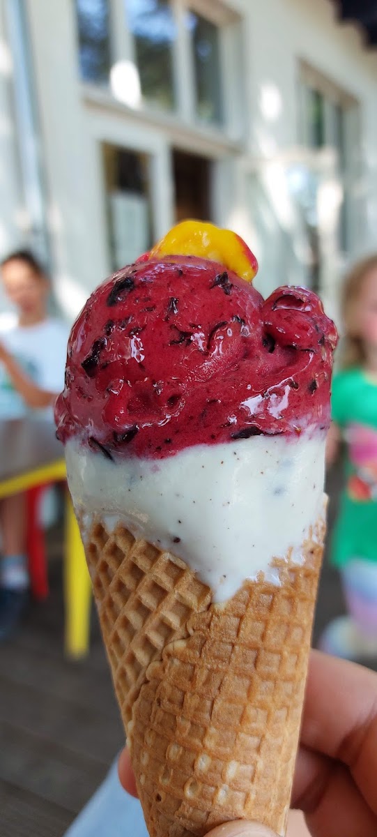 Eis Manufaktur Hiddensee-9